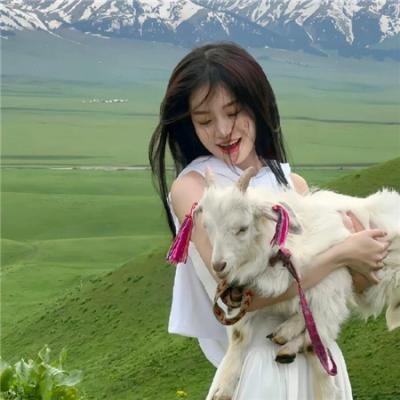 绀田照的合法食谱